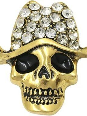 NEW Gold Tone Clear Crystal Rhinestones Skull Head Face Brooch Pin Goth Jewelry